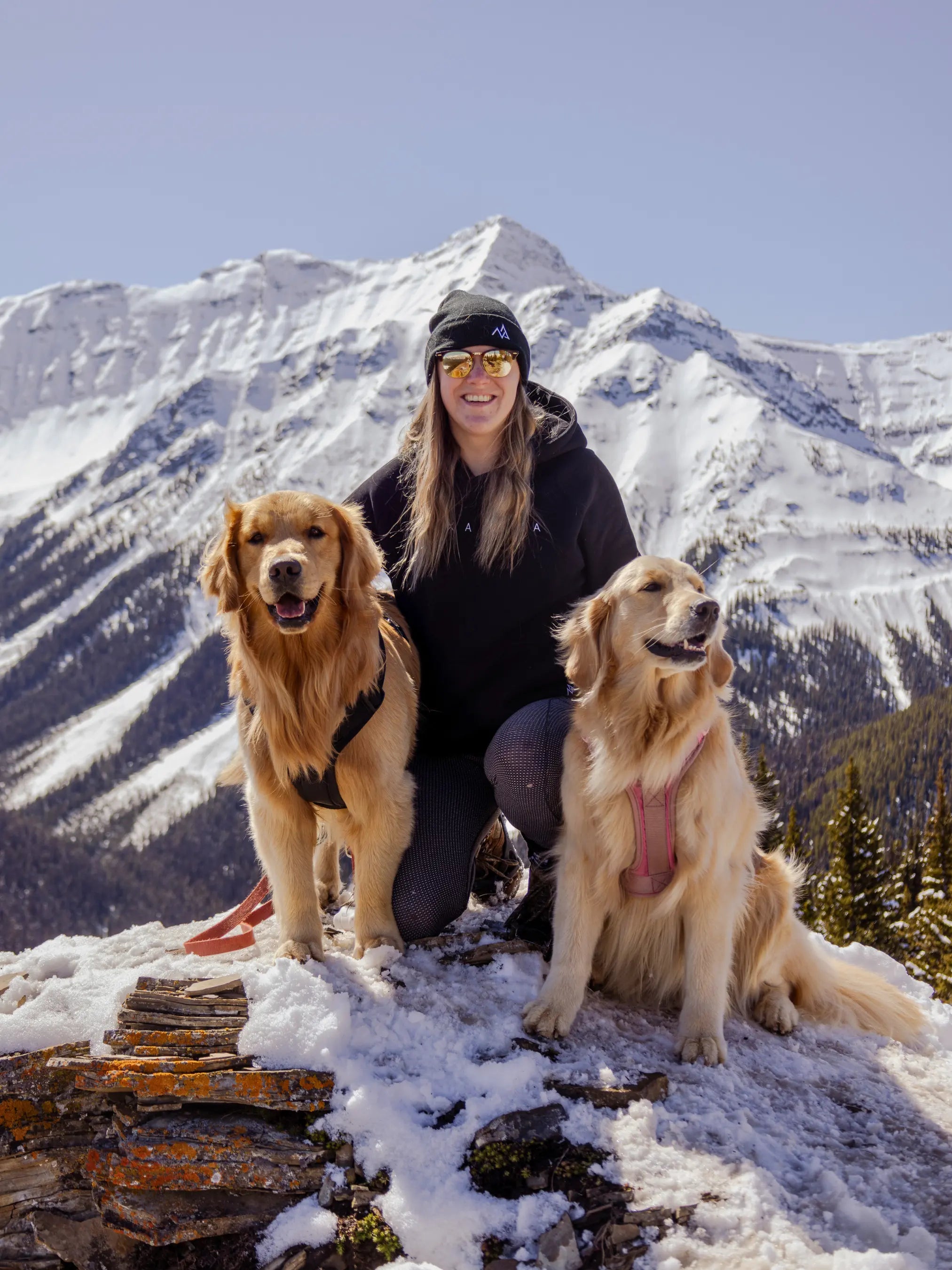 Woman wearing a black Nexarina beanie and hoodie kneeling on a snowy mountain peak with two golden retrievers, surrounded by sunlit alpine scenery.